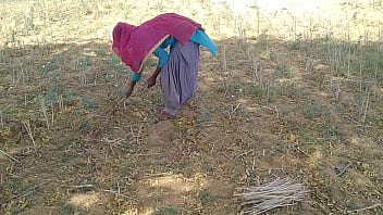 खेत में काम करती हुई देसी लड़की को उसका इंडियन ब्वॉयफ्रेंड ज़ोरदार चोदता है
