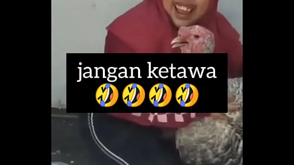 Gadis Montok Tergoda, Tawa Basah Penuh Gairah