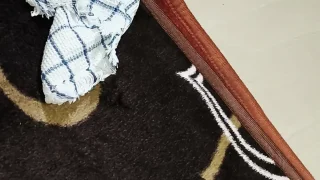 Desi Bhabhi