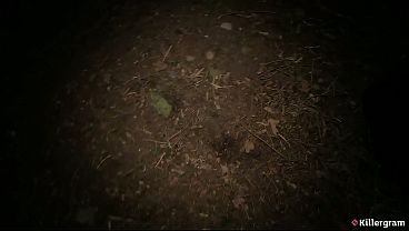Killergram – Slutty Class Meets Outdoor Filth, Taking Every Secret Cock In A Wild Dogging Fuckfest
